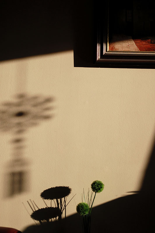 17th January 2009 <br> sunny