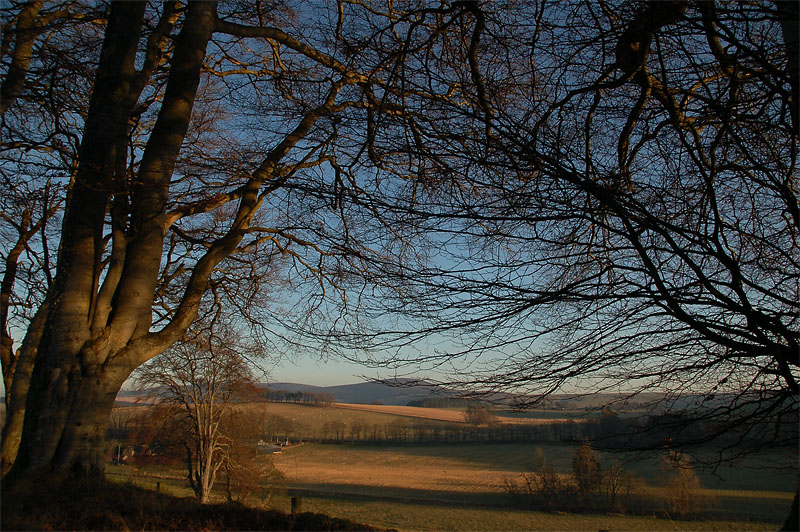 19th January 2009 <br> brighter