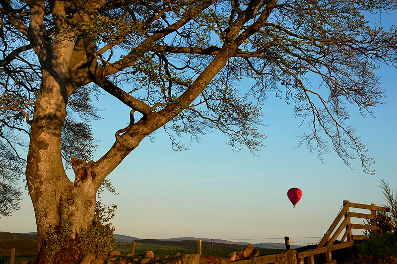 11th May 2009 <br> balloon