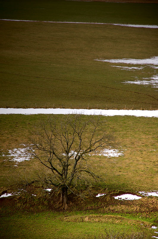 12th February 2010 <br> last of the snow