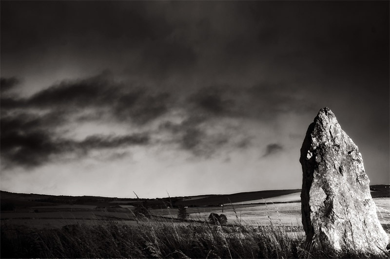 8th September 2011 <br> missing the summer