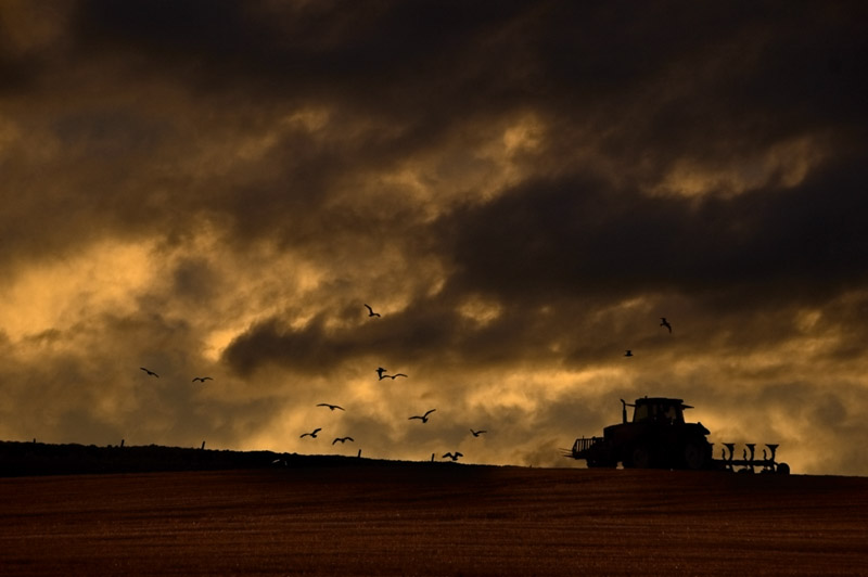 14th September 2011 <br> plough
