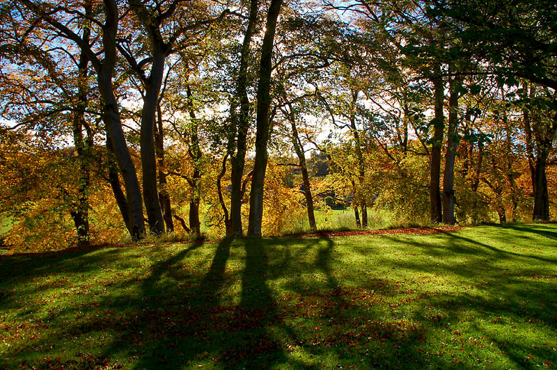 30th October 2007 <br> another sunny morning