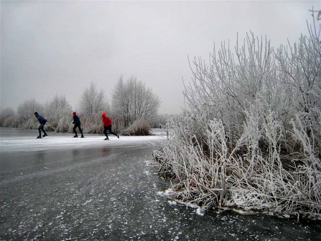 023 - Ankeveense plassen: Betrouwbaar ijs op slechts een enkele plek na.