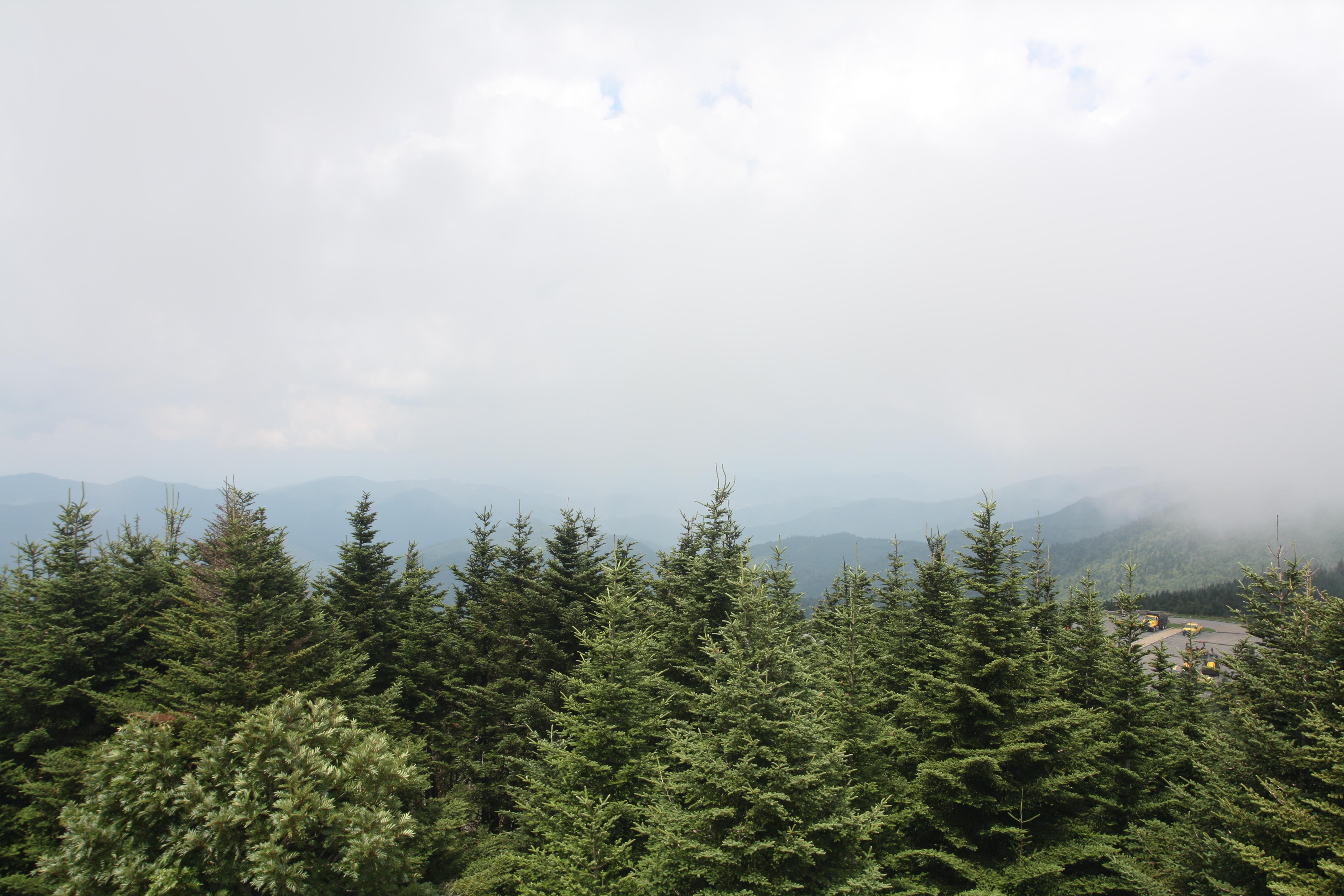 IMG_0141.JPG