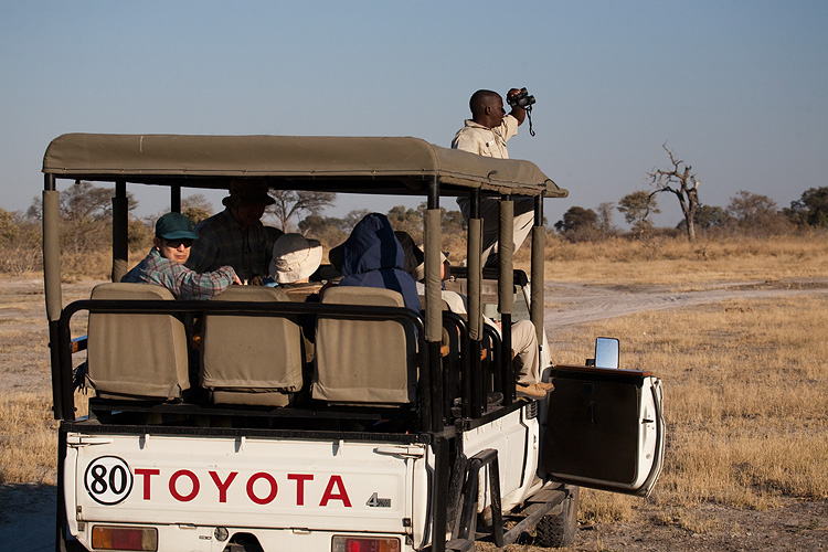 Leopard tracking