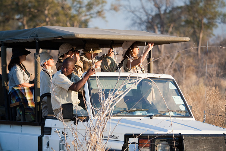 Leopard watching