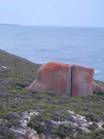 KangarooIsland_RemarkableRocks9102.JPG