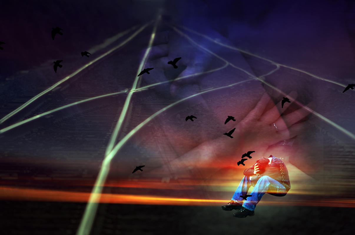  birds are flying