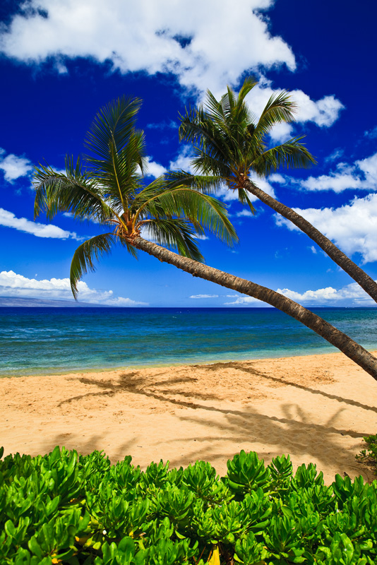 Kaanapali Beach RD-622 