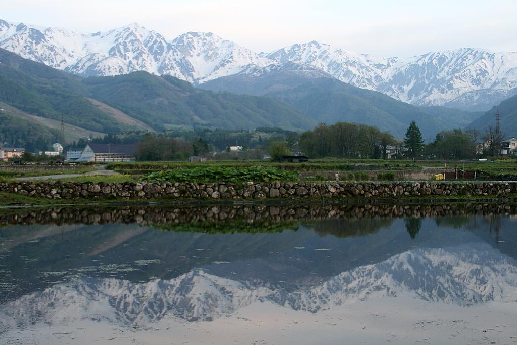 _MG_3776.jpg