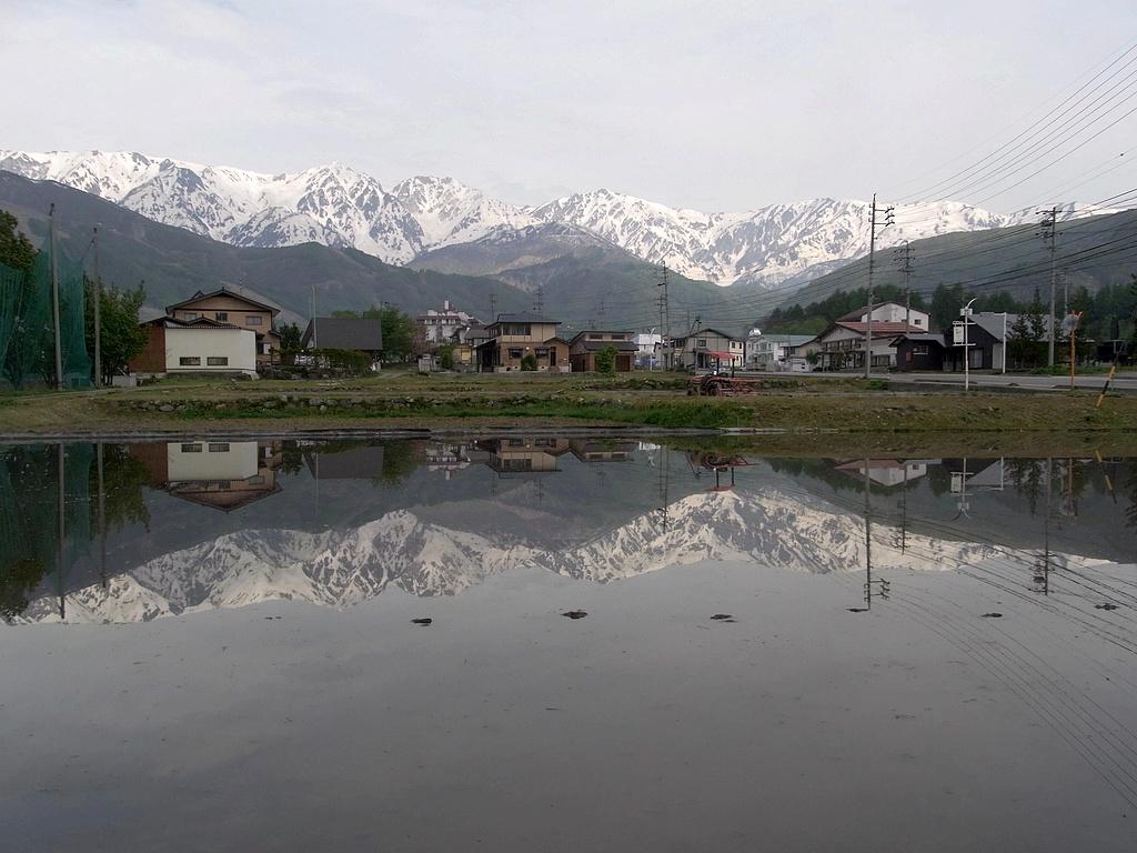 RIMG0312.jpg