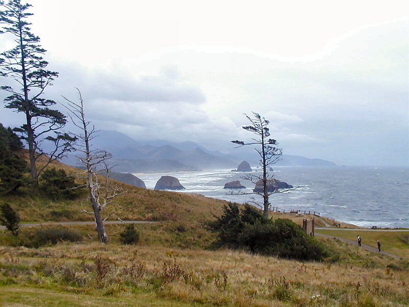 Ecola 3