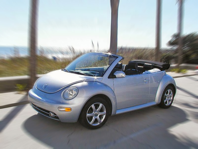 Beach Bug