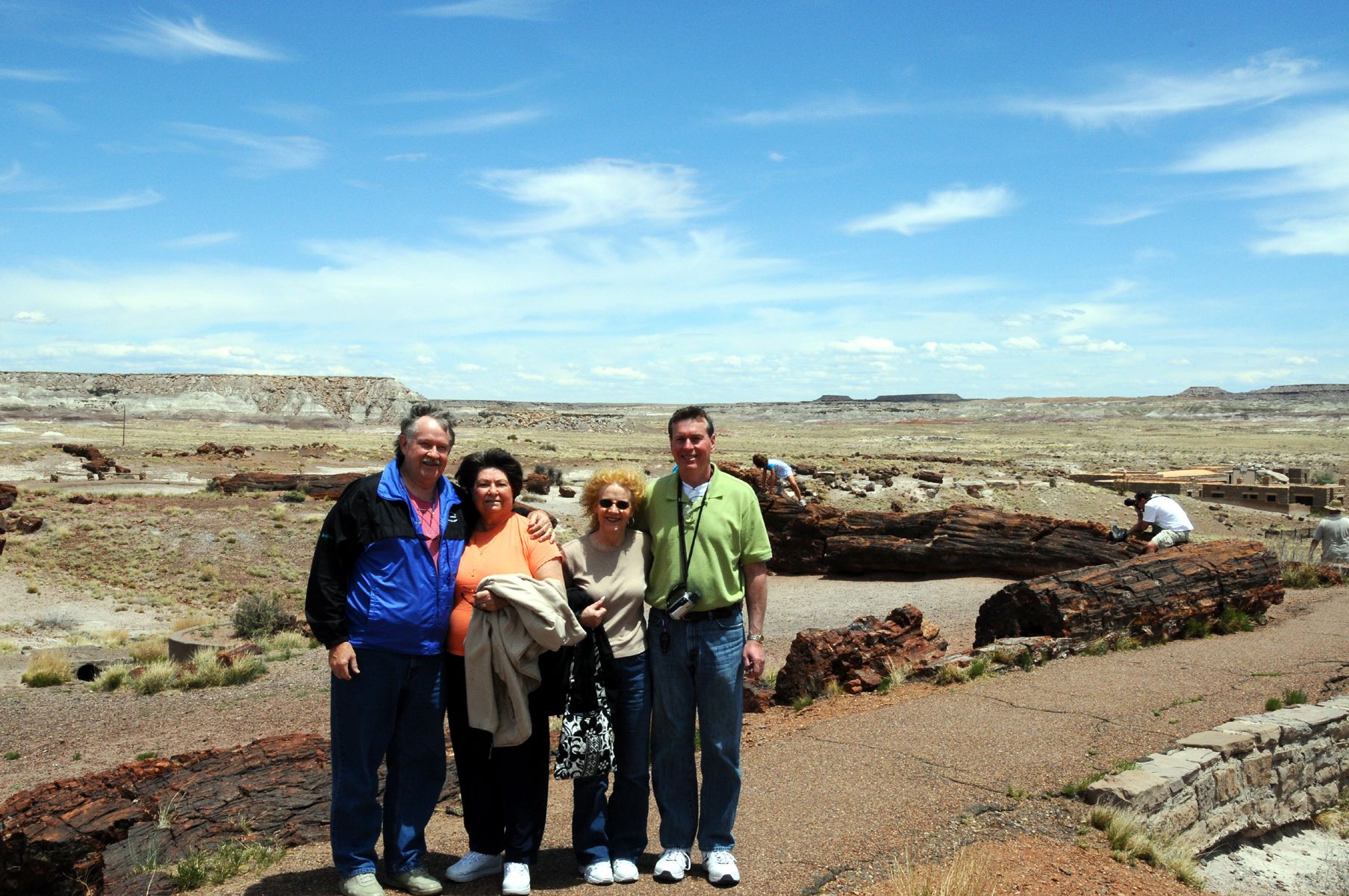 DSC_6410 Petrified Forest Us.jpg