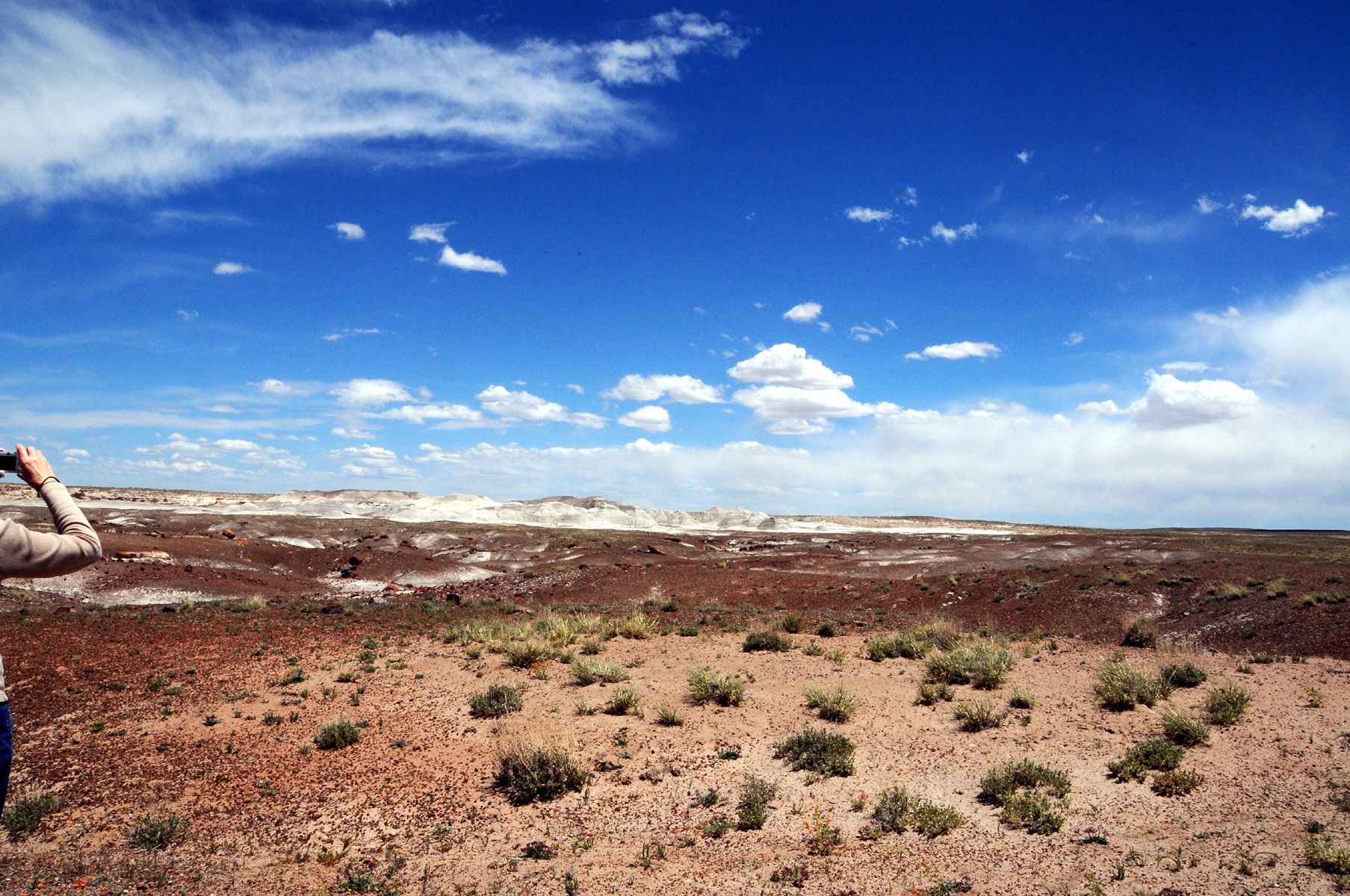 DSC_6424 Petrified Forest.jpg