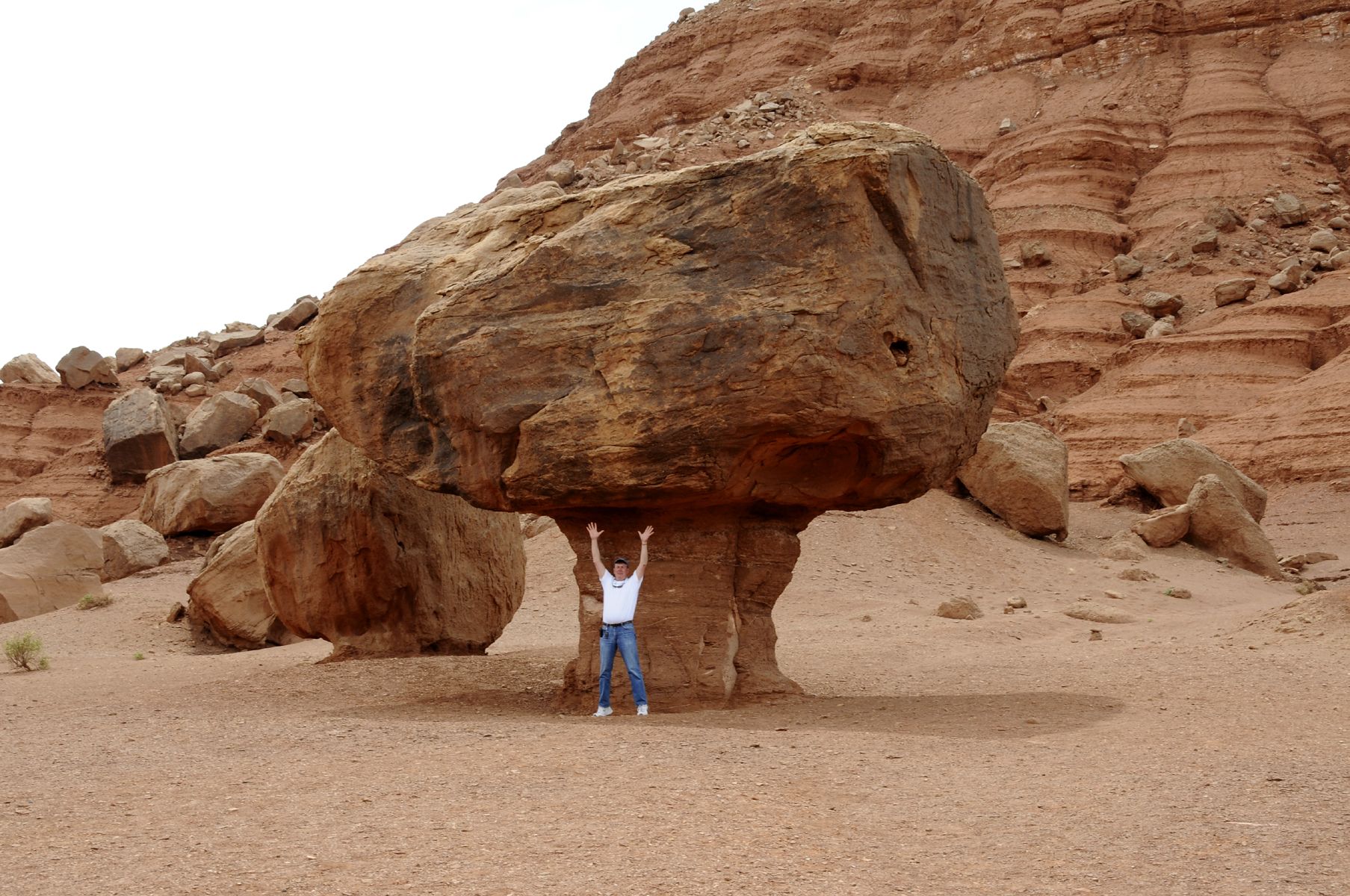 DSC_6884 Vermilion Cliffs Hwy Roadside Boulders & Charlie.jpg
