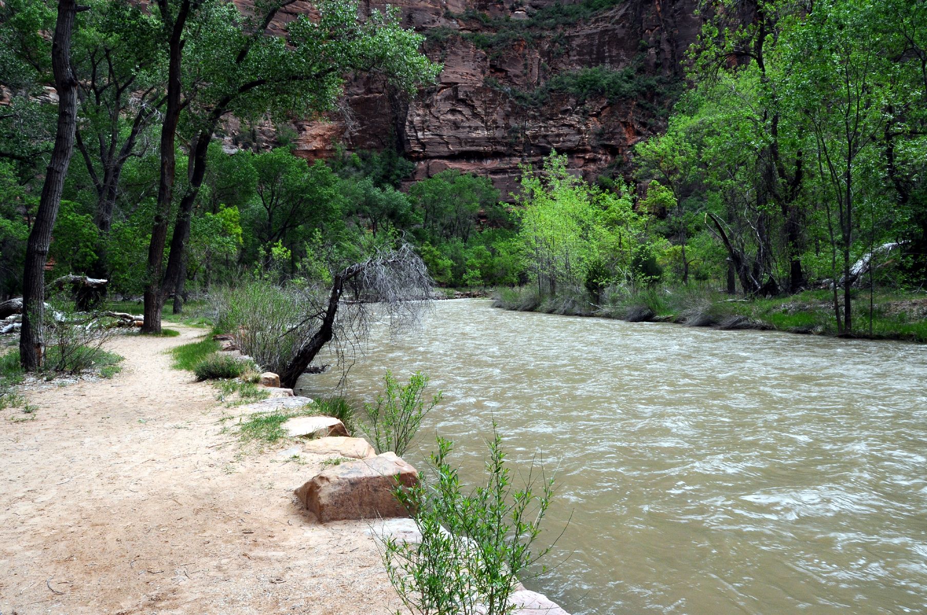 DSC_6989 Zion Canyon Temple of Sinawava River.jpg
