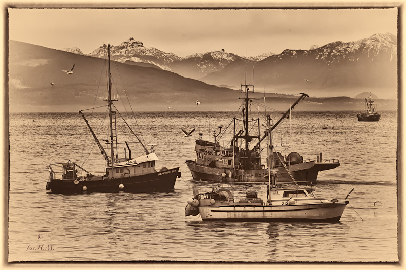 Fishing Boats