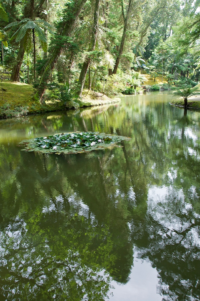 Sao Miguel  10.jpg