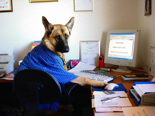 Taking over the business