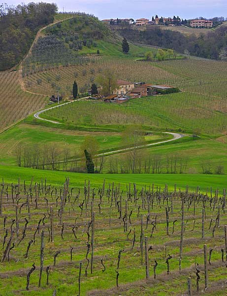 Outside San Gimignano, Tuscany 