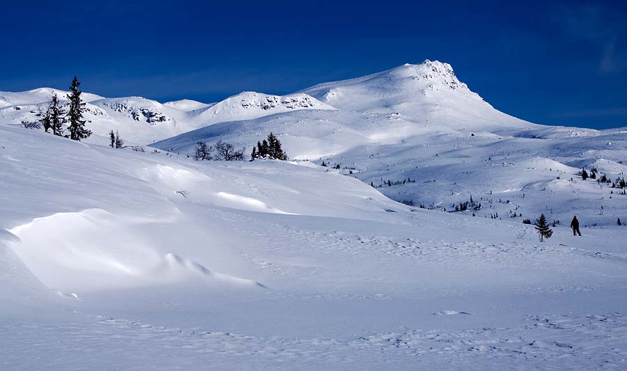 Norefjell in winter