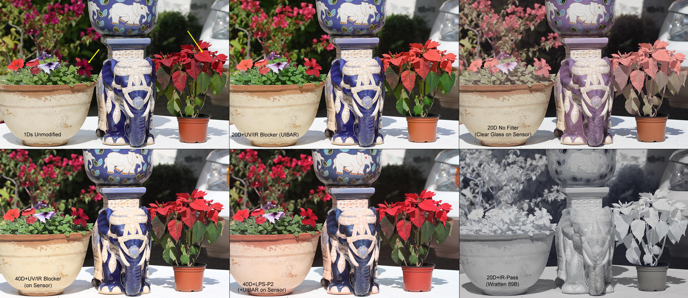 White Balance w Various Filters