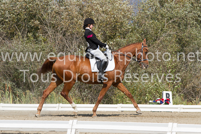 Niveau 2 Junior - 22 septembre 2012