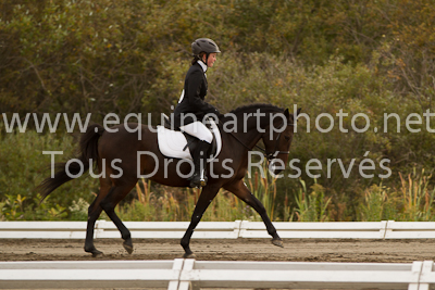 Niveau 1 Poney Junior - 23 septembre 2012