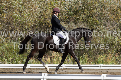 Niveau 2 Junior - 23 septembre 2012