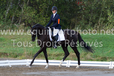 Entrainement Adulte