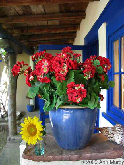 Geraniums on portal