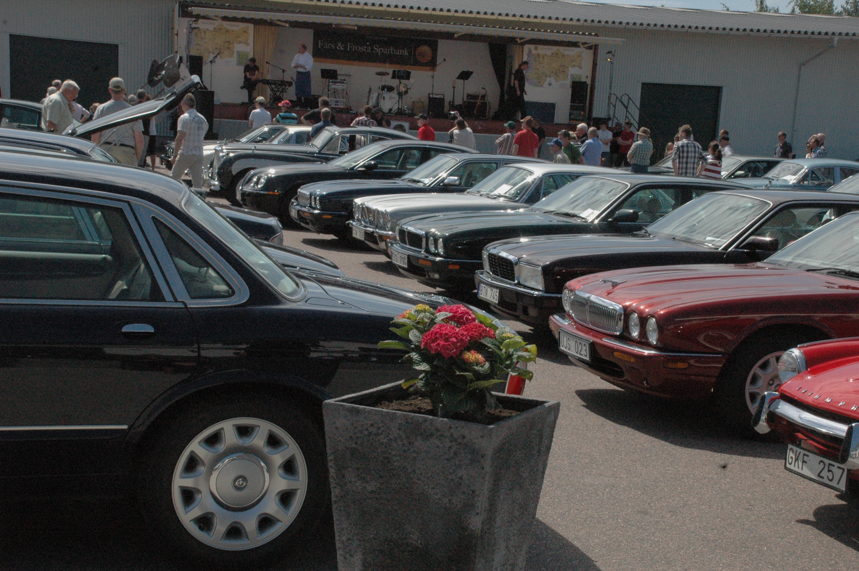 Jaguarer i rad