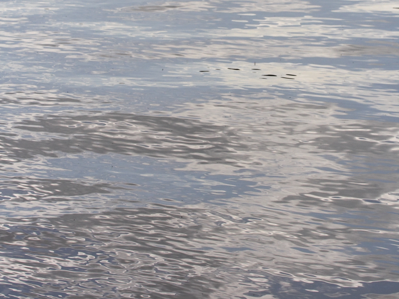 Partly Cloudy Lake Ripples