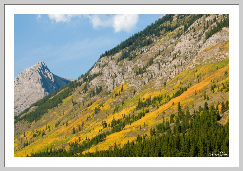 Meandow in fall colour