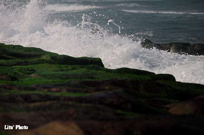 DSC_0140.jpg