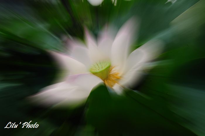 DSC_8486.jpg