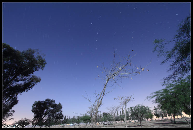 Star trails 2
