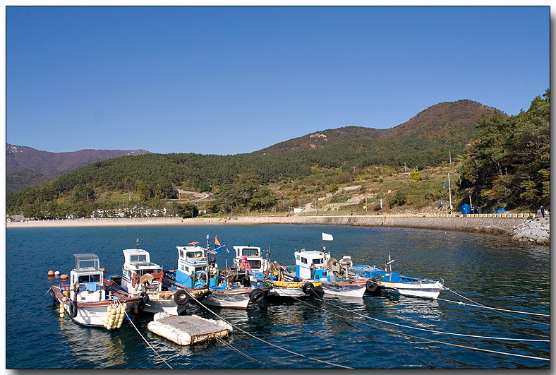 Fishing Boats