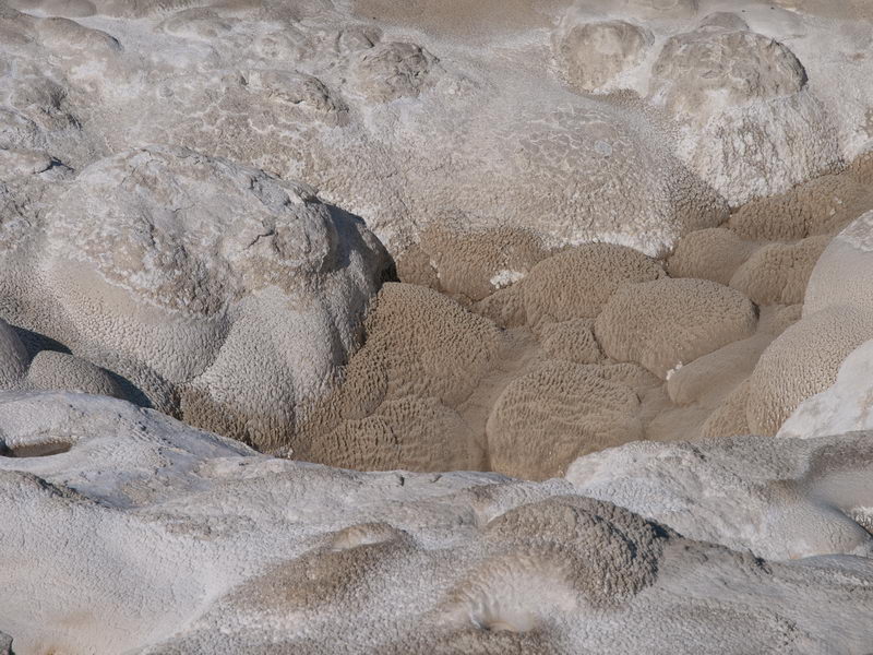 Upper geyser basin, Yellowstone