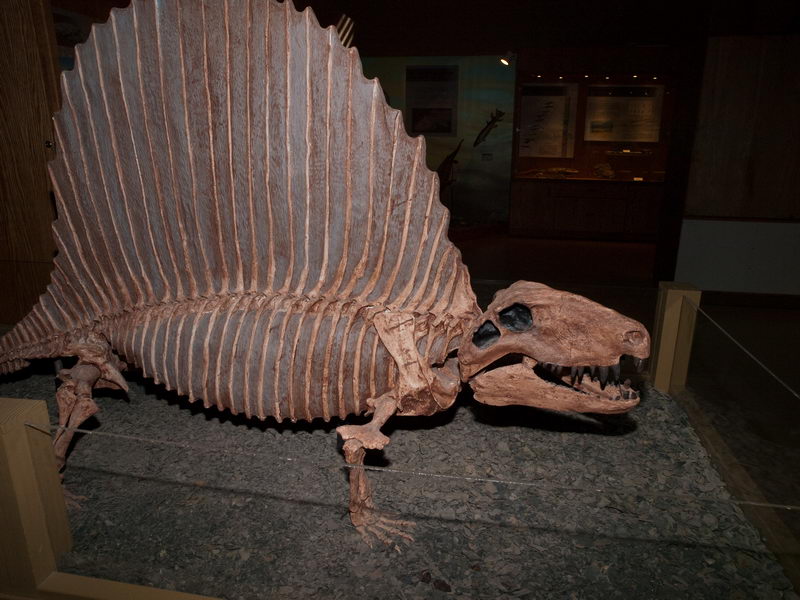 Thermopolis Wyoming Dinosaur Center