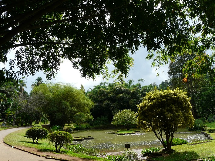 The Botanic Gardens At Kandy