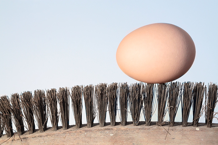 Egg