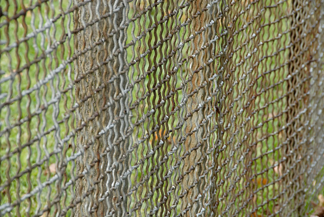 Old Fence