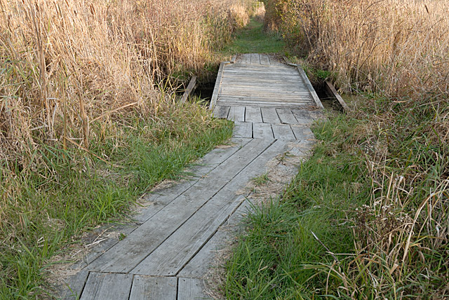 Boardwalk through Nature Center