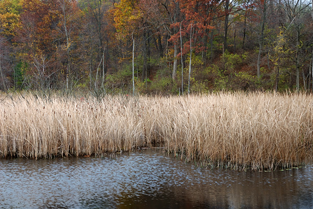 Waters Edge