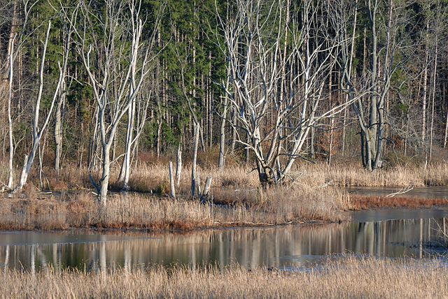 Blue Cut Nature Center