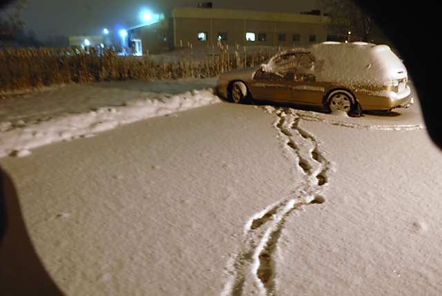 first snowy car day