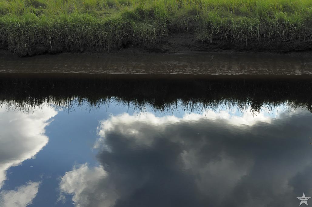 Grass Sky